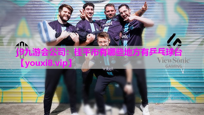 桂平市有哪些地方有乒乓球台