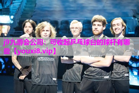 可收起乒乓球台的球杆有哪些