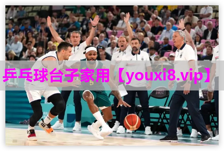 乒乓球台子家用