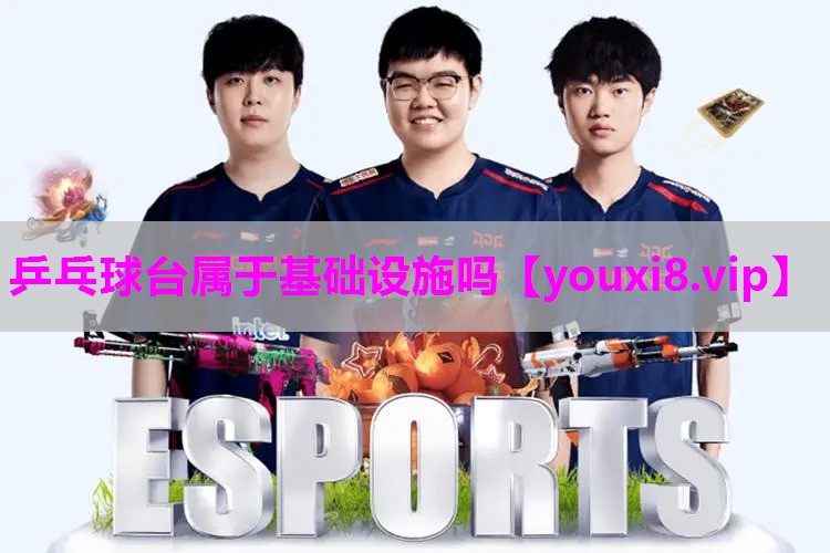 乒乓球台属于基础设施吗
