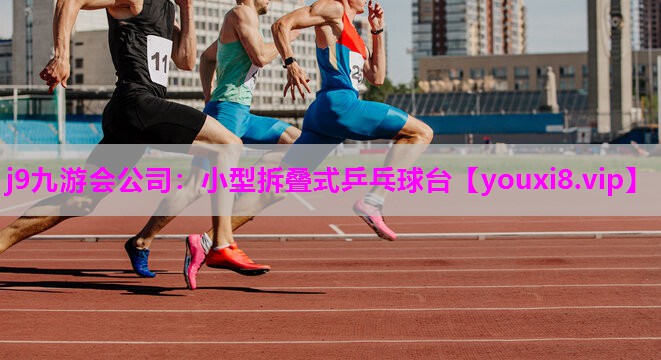 小型拆叠式乒乓球台