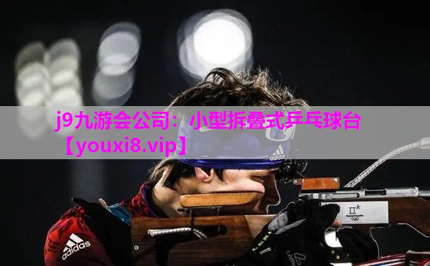 小型拆叠式乒乓球台
